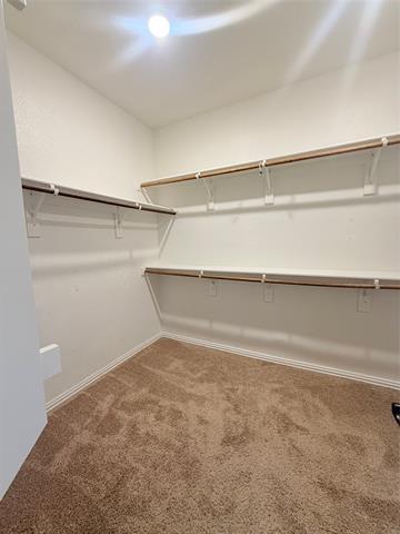 Building Photo - 10000 White Pine Dr