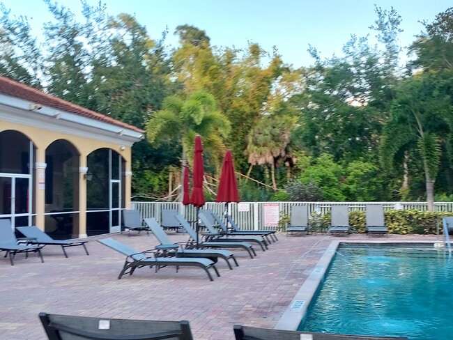 Pool Patio Deck - 4510 Botanical Place Cir