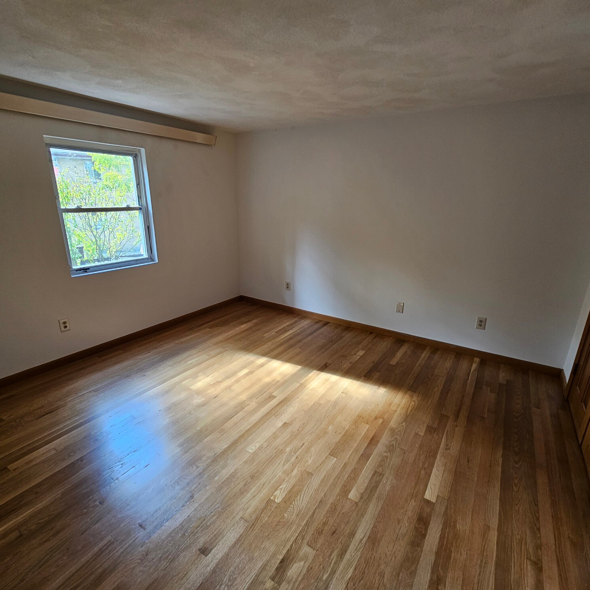 Building Photo - 54 Vineland St