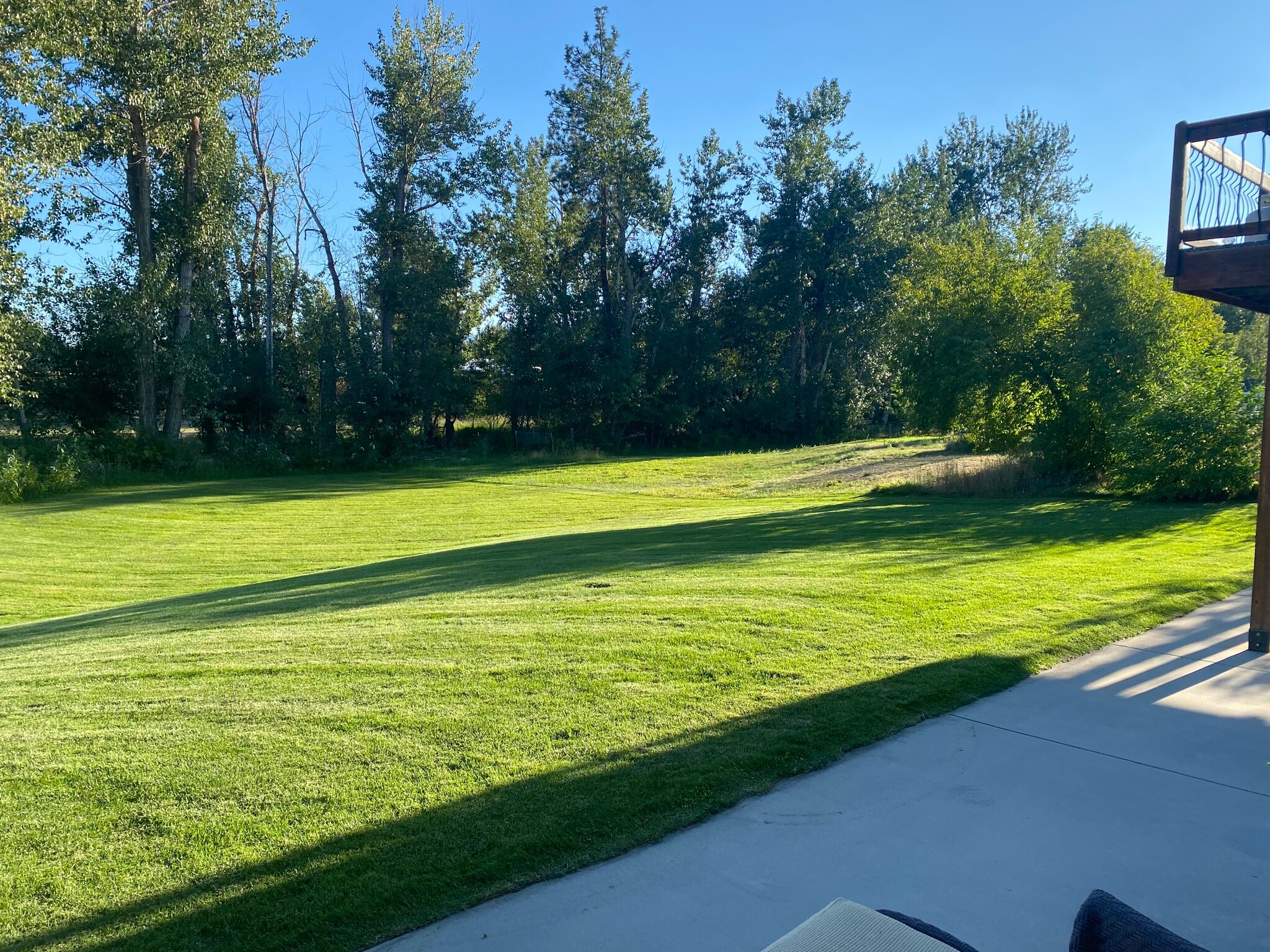 Yard - 323 Maroon Ct
