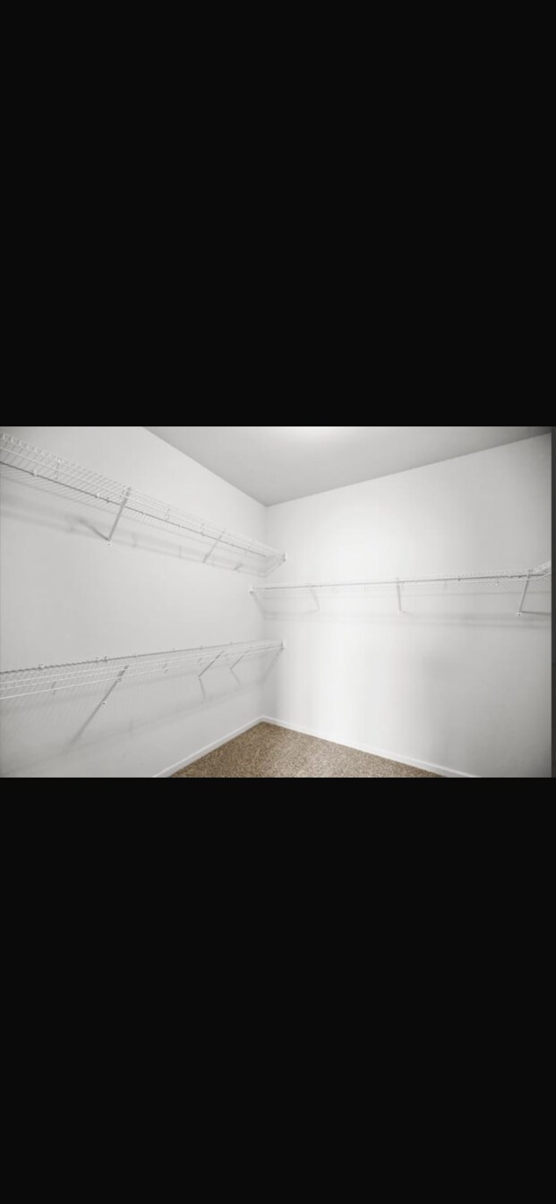 Building Photo - 101 Belhaven Dr