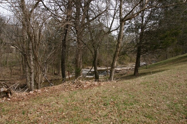 Building Photo - 211 Firefly Run