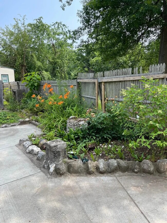 Garden - 105 Newhall St