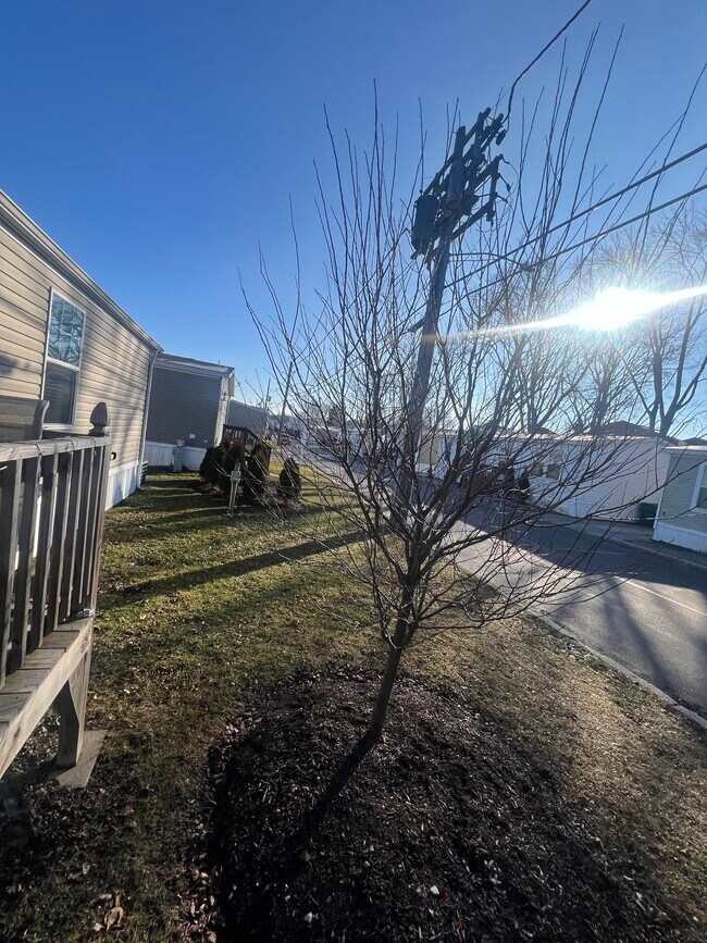 Building Photo - 934 9th St