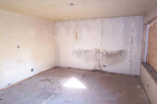 Building Photo - 14730 Honore Ave