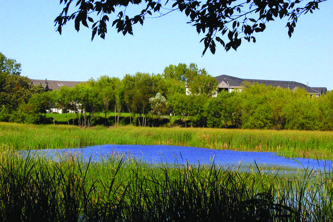 Building Photo - Parkside at Medicine Lake