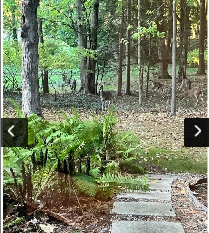 Building Photo - 1302 Hillburn Ave NW