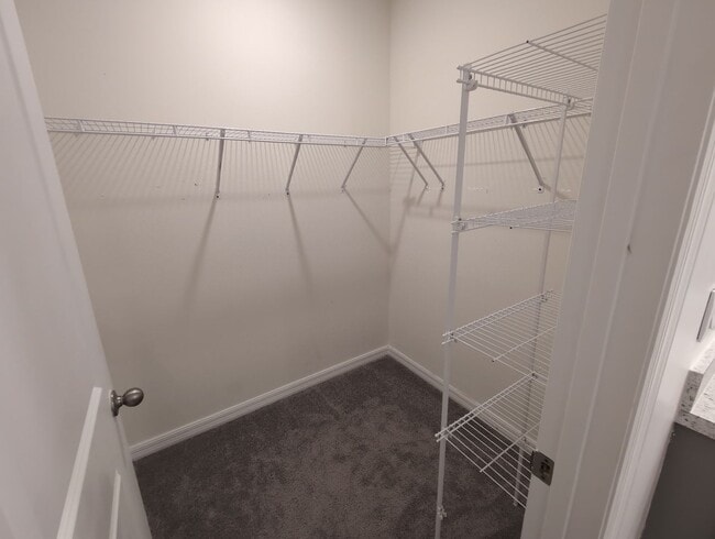 Building Photo - Fresh new build ~ 3 bed/ 2.5 bath Townhous...