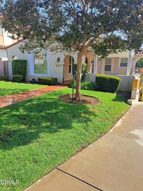 Primary Photo - 208 N Primrose Ave
