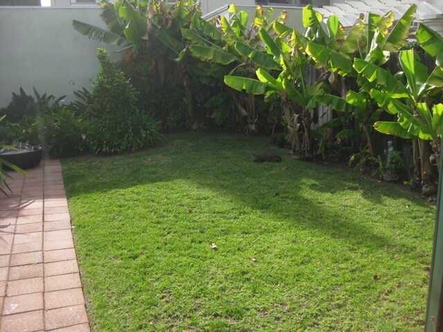 Fenced Back Yard - 1223 N Orange Grove Ave