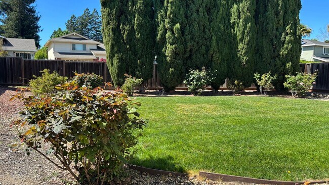 Building Photo - Spacious 4 bed/2.5 bath home in San Ramon