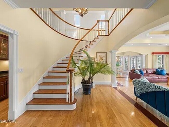 Building Photo - Luxury & Convenience!!