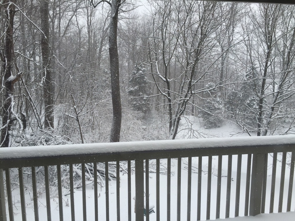Deck, winter - 443 Lynetree Dr