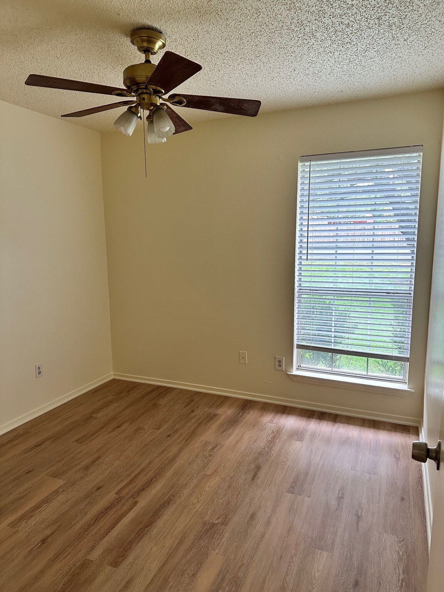 Building Photo - 3203 Palo Duro Ct