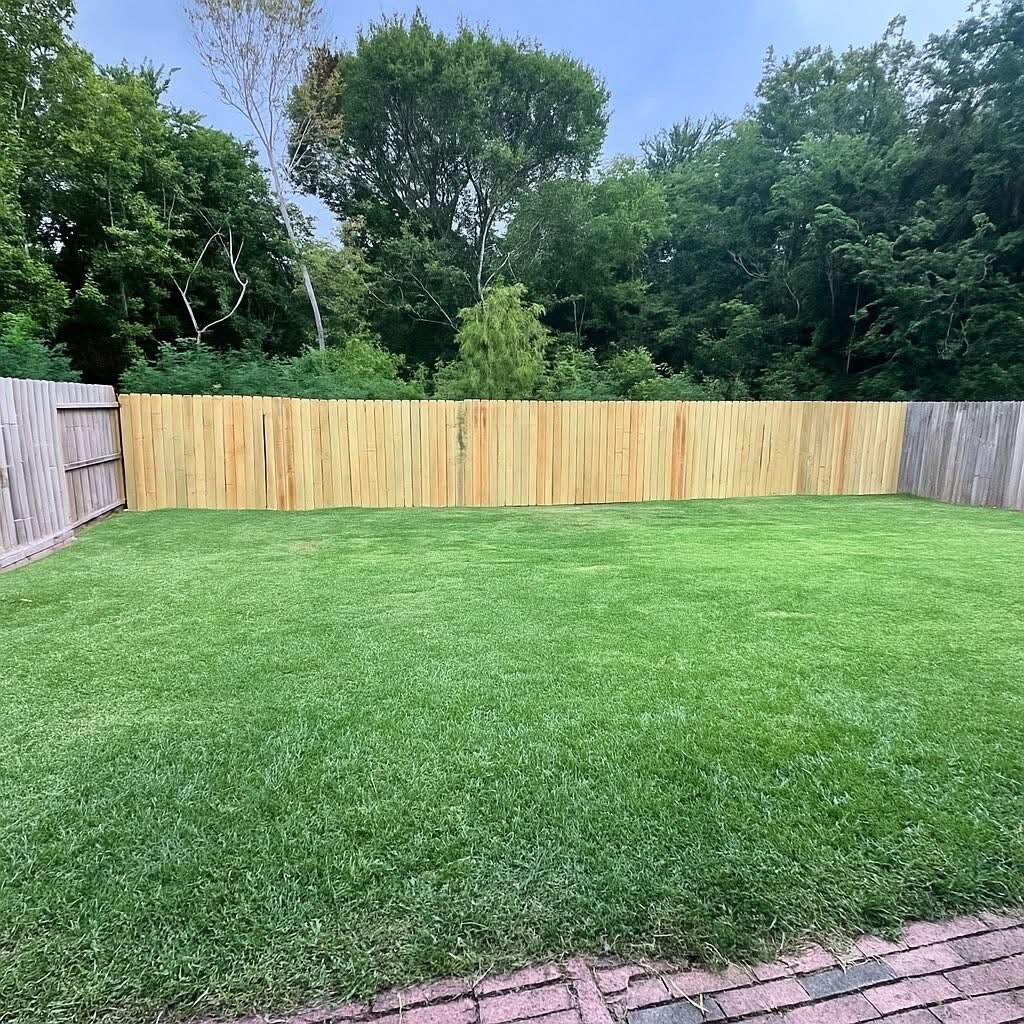 Large backyard - 4019 Strawberry Ct