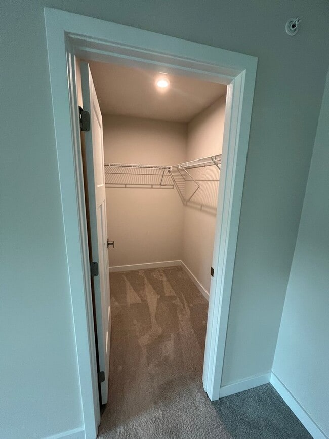 Building Photo - 312 Frances Ln