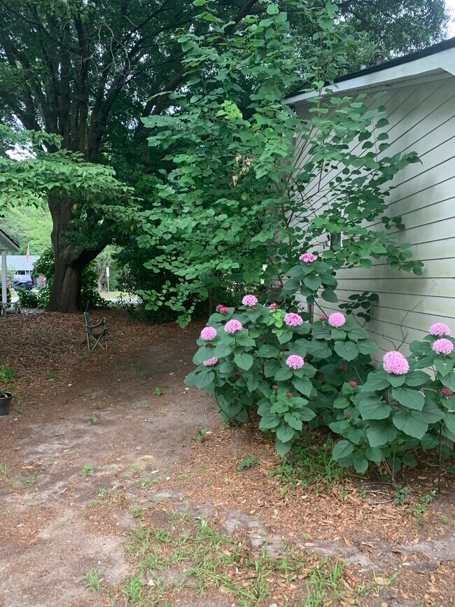 Side of house - 46 Held Cir