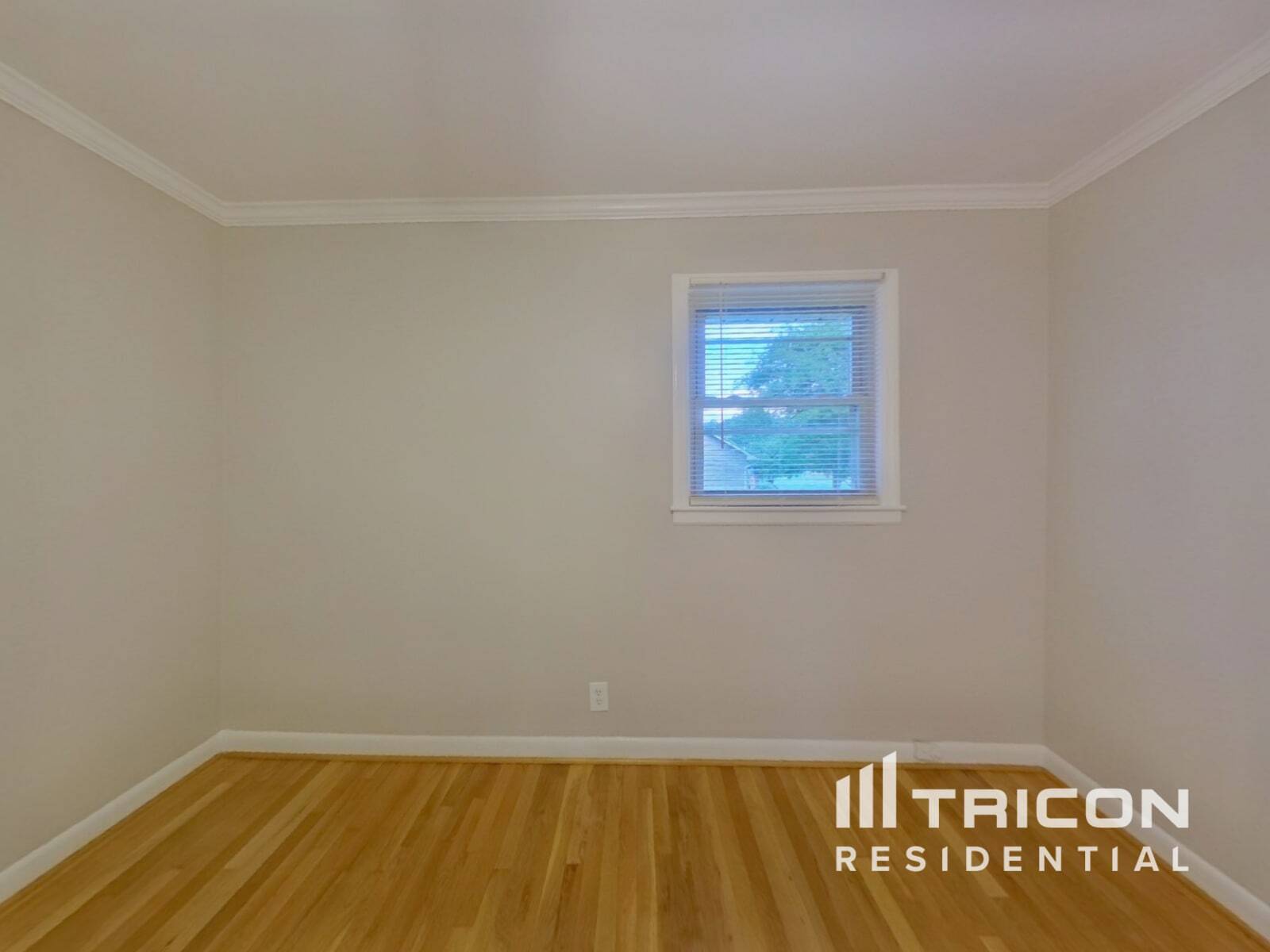 Building Photo - 119 Nantz St