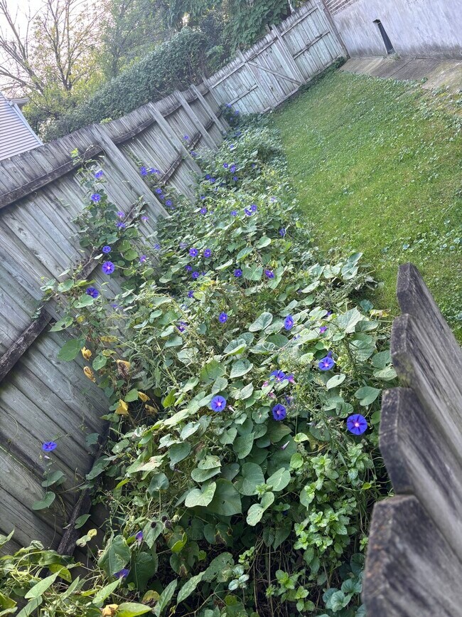 Building Photo - 2846 N Troy St