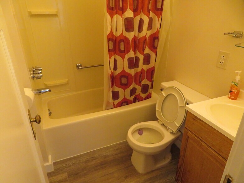 Bath with Tub/Shoer Combo - 214 1/2 Brown Ave