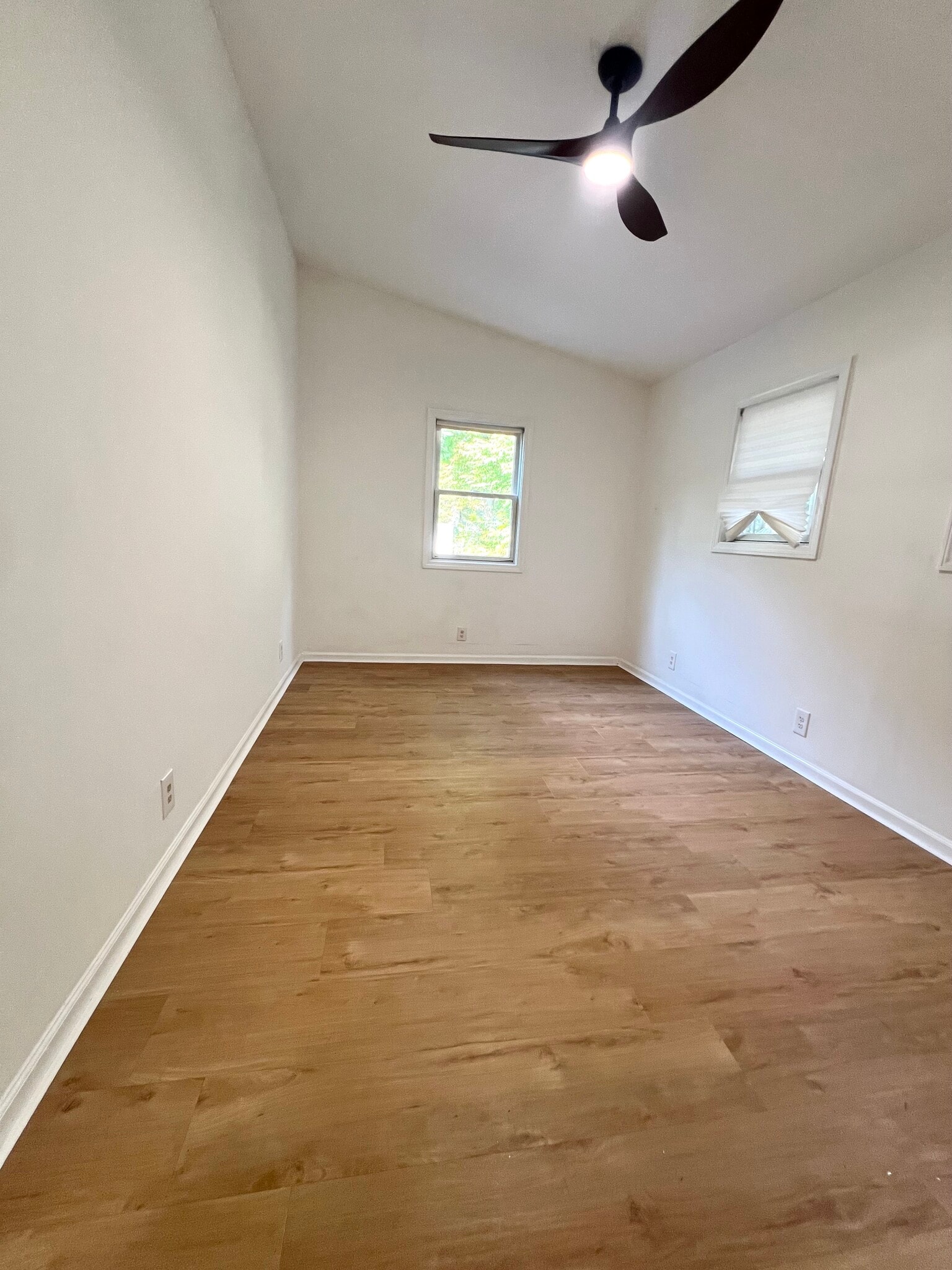 Building Photo - 1491 Elm St