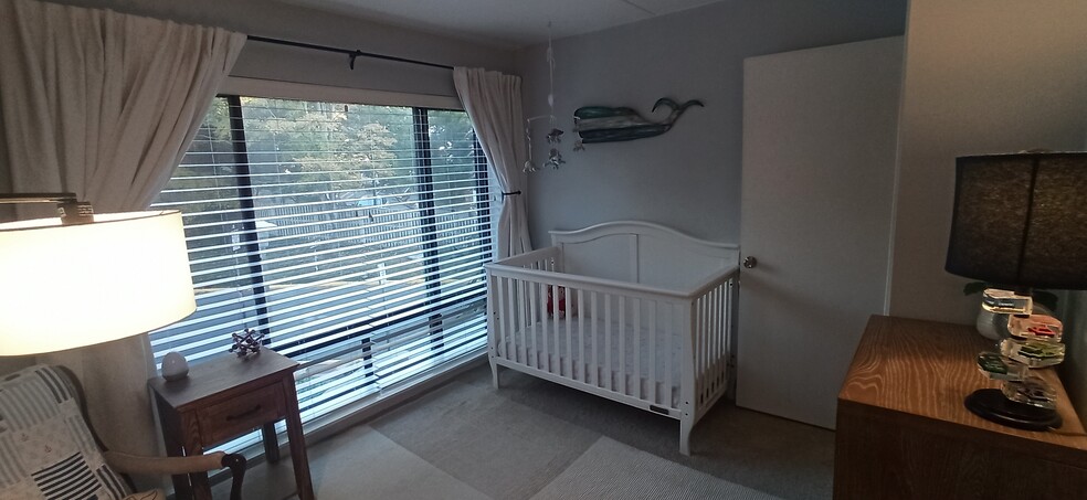 Third bedroom with large windows - 100 Roberts Ln