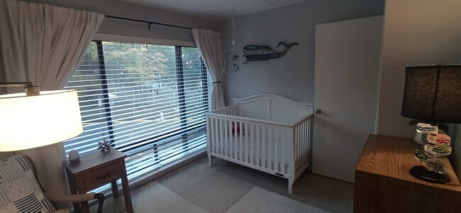 Third bedroom with large windows - 100 Roberts Ln