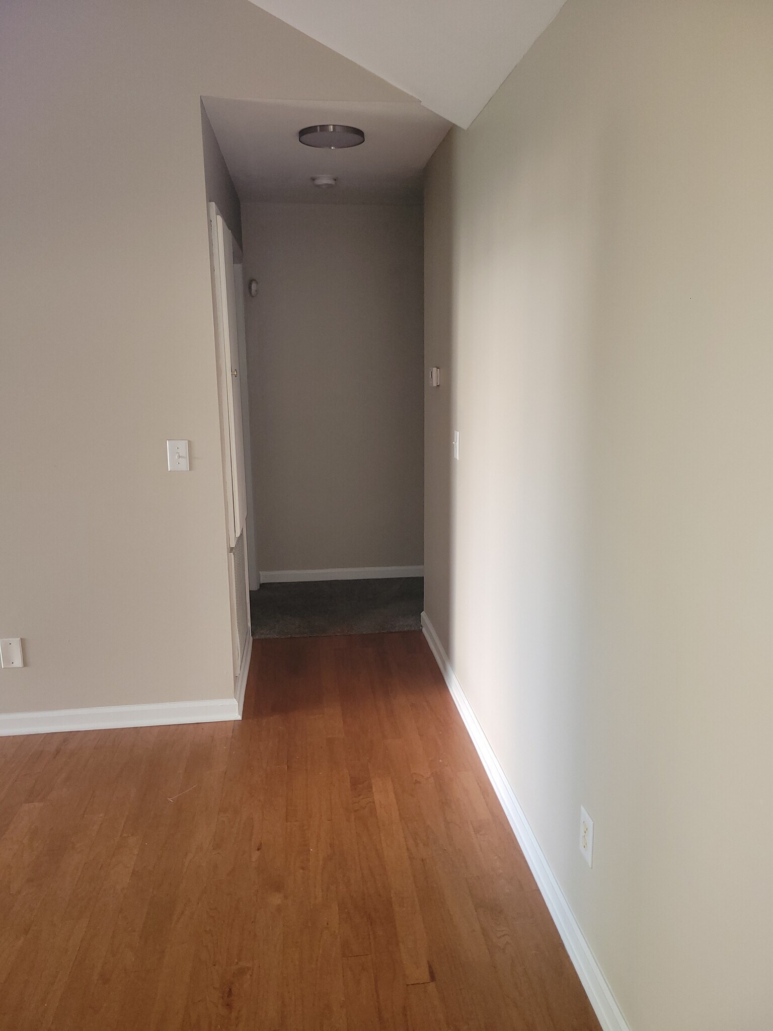 Building Photo - 604 Forest Park Ct