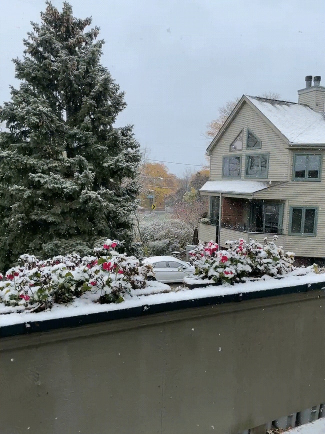 Building Photo - 2424 S Wentworth Ave