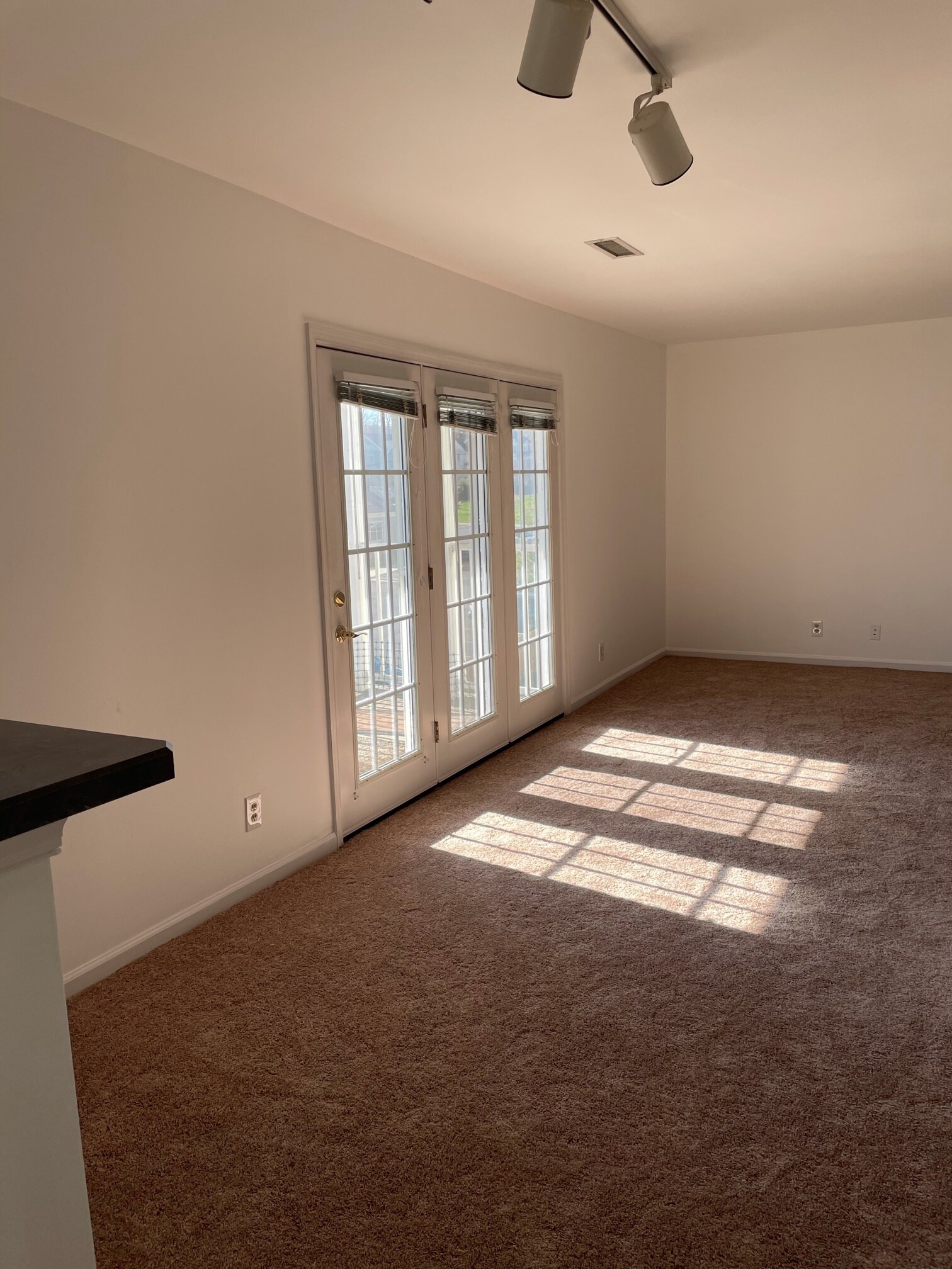 Building Photo - 1217 Villa Ln