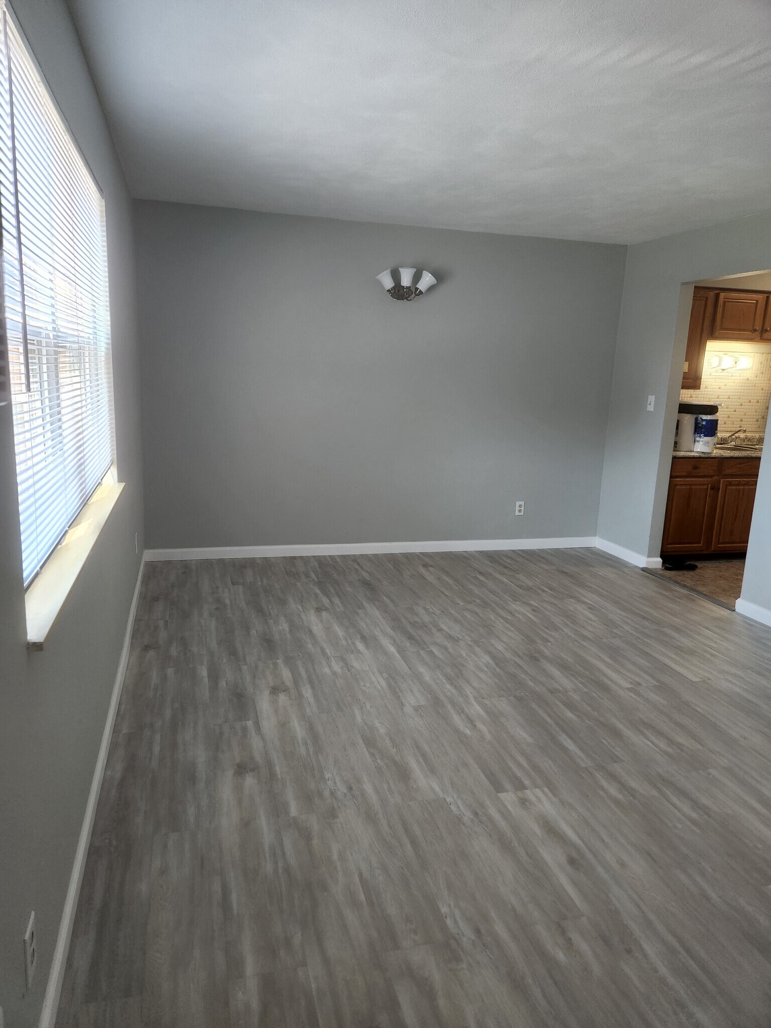 Large living room windows w/faux wood blinds - 212 N 44th St