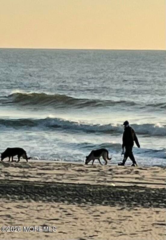 Building Photo - 709 Ocean Ave N