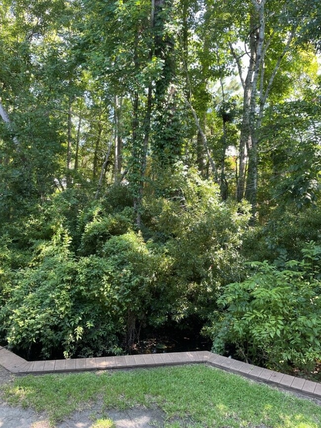 Building Photo - 157 Egret Run Ln