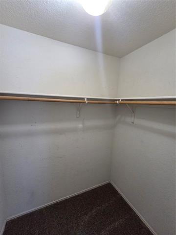 Building Photo - 8138 Mossberg Dr