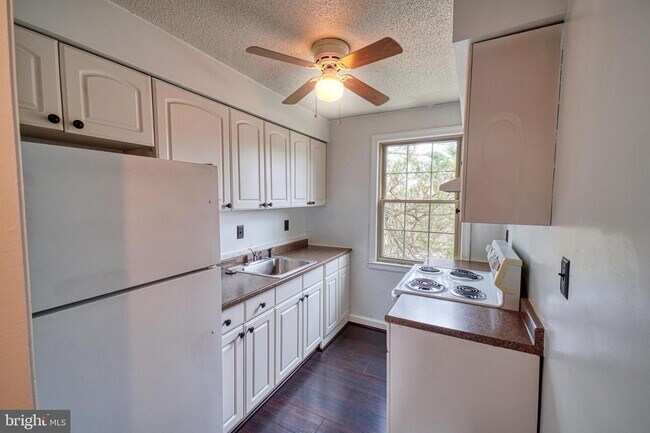 Building Photo - 2115 Suitland Terrace SE