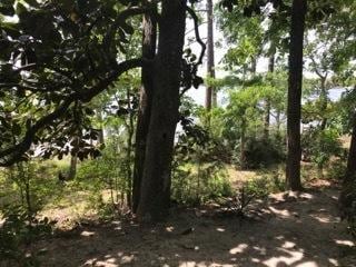 Building Photo - 631 Nelson Point Rd