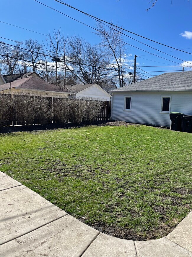 Backyard - 1314 Dewey Ave