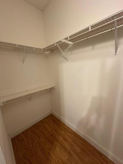 Building Photo - 1572 Banyan Way