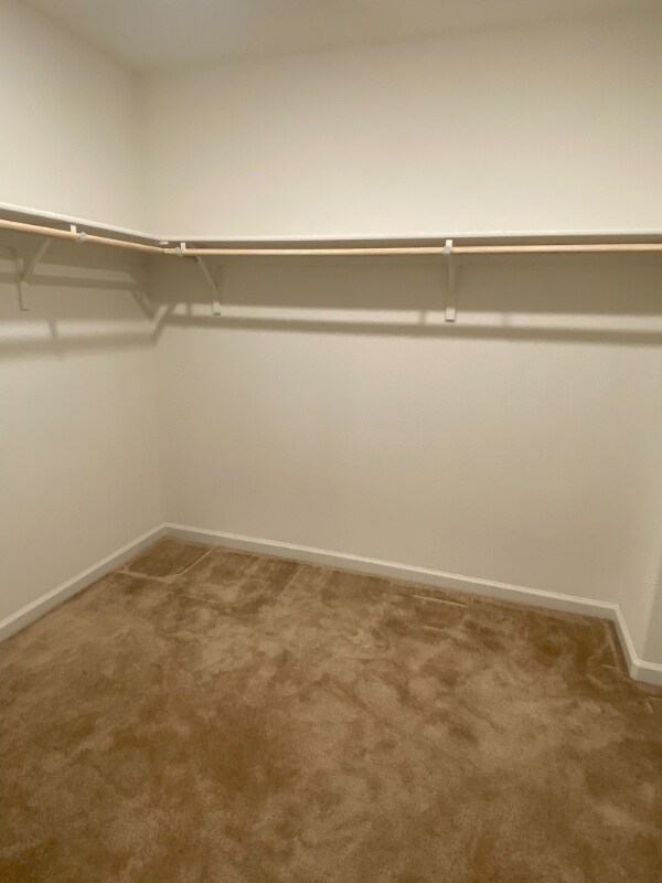 Building Photo - 8802 Ariston Ln