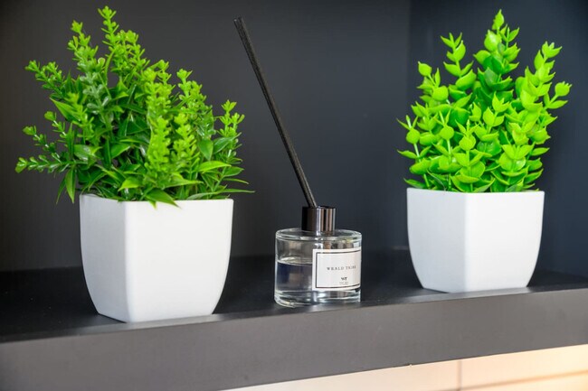 Building Photo - 701 Richmond Ave.