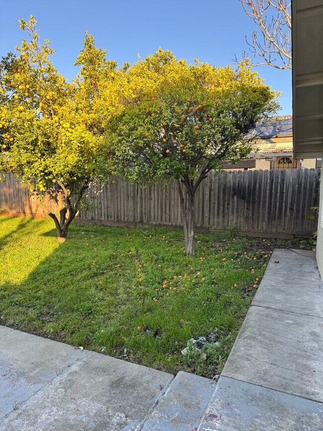 Building Photo - 3/2 home