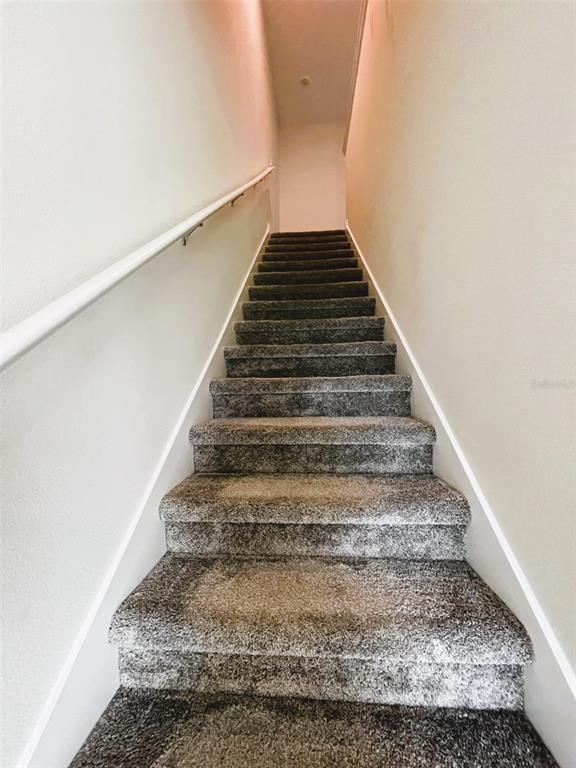 Building Photo - 236 Muscogee Ln