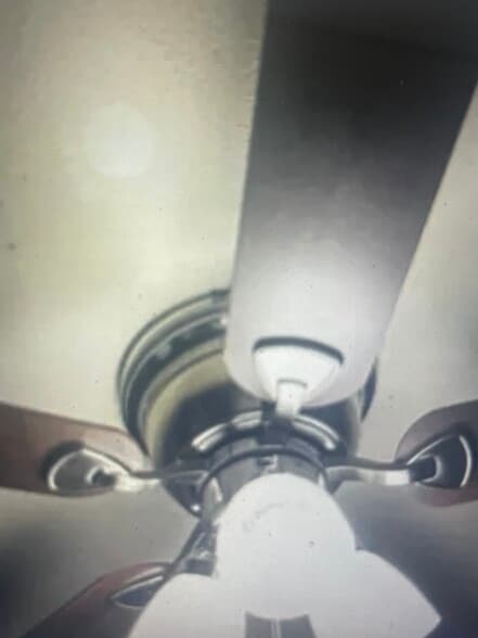 Building Photo - 1573 Mary St