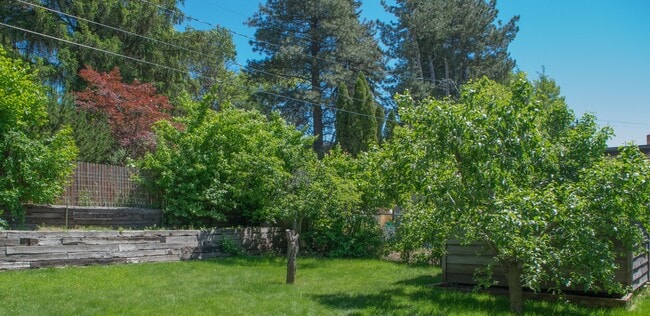 Building Photo - 4 Bed, 2 bath on Military Hill!
