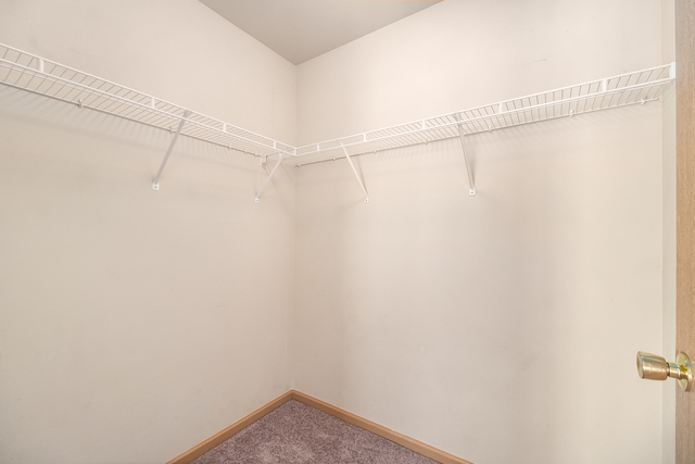 Building Photo - 144 Bertram Dr