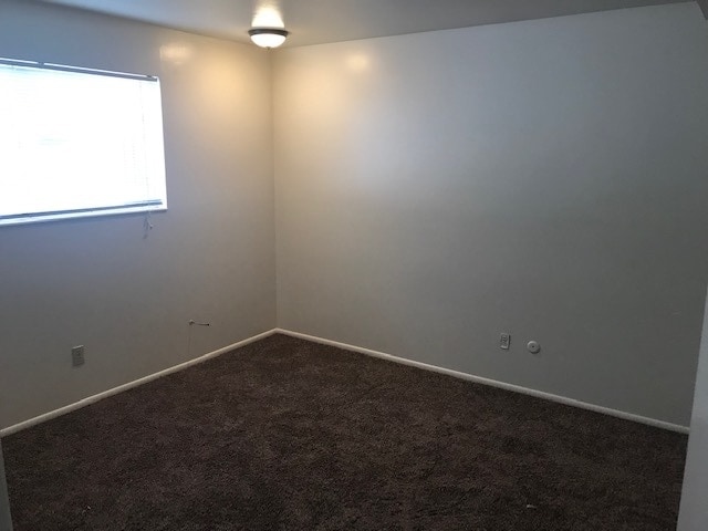 Building Photo - Beautiful Washington Terrace Apartment with carport and central air