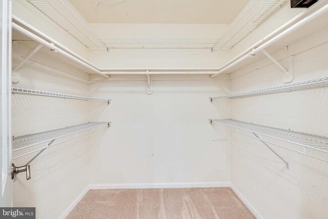 Building Photo - 12127 Holly Knoll Cir