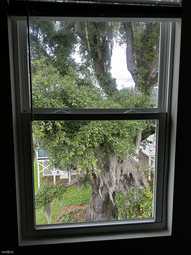 Building Photo - 3 br, 2.5 bath House - 146 Palmetto Breeze...