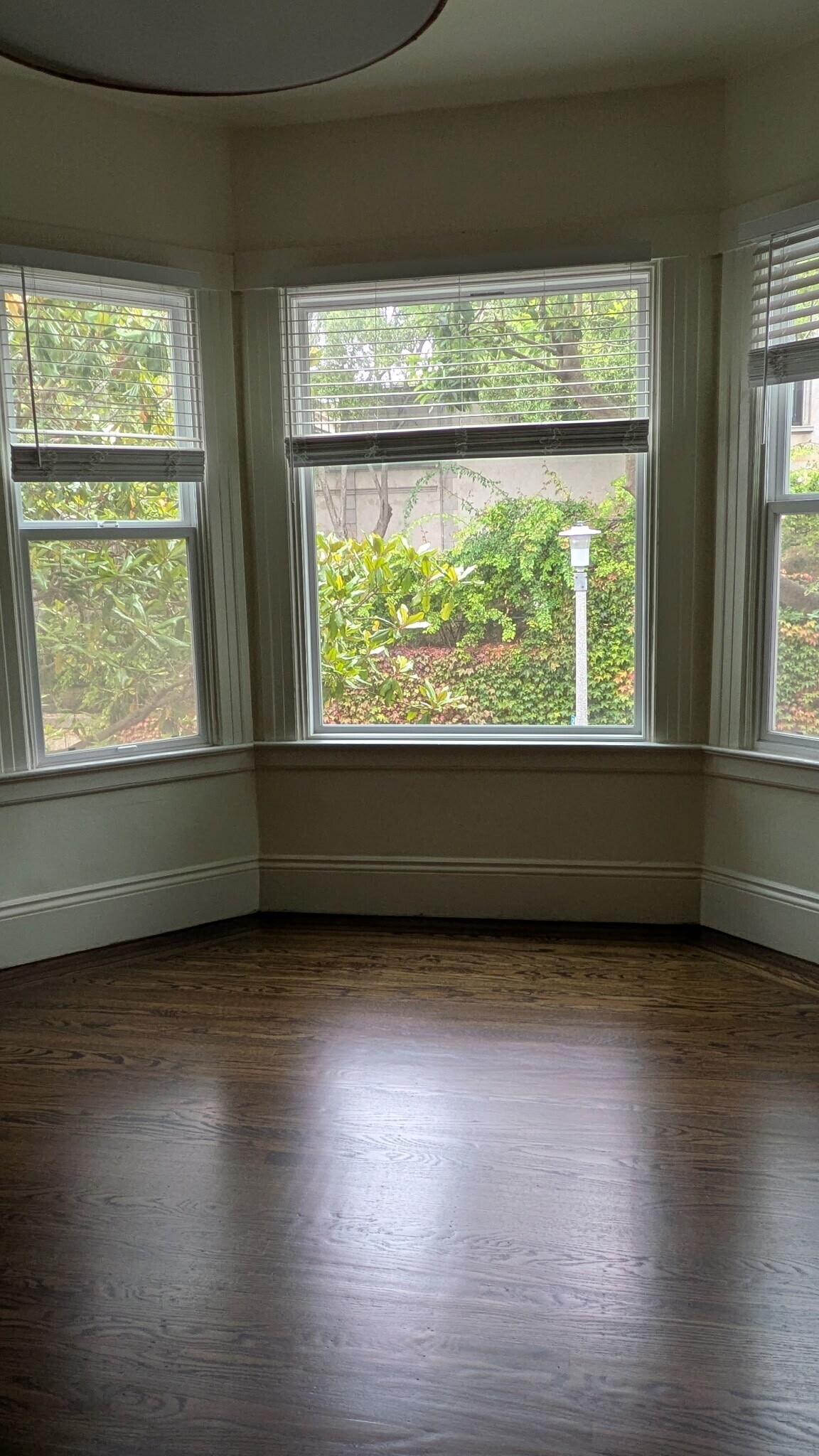 Living Room - 1915 Grant Ave