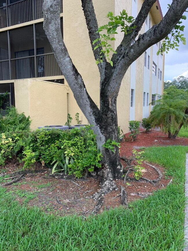Building Photo - 2015 Coral Ridge Dr